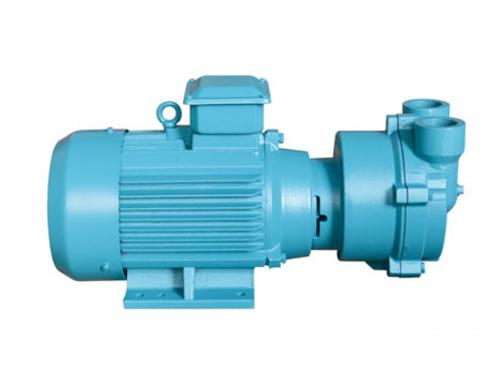 2BV 系列水环式真空泵及压缩机