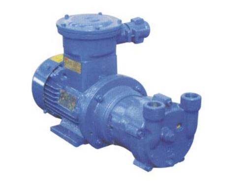 2BV6系列水环式真空泵/压缩机