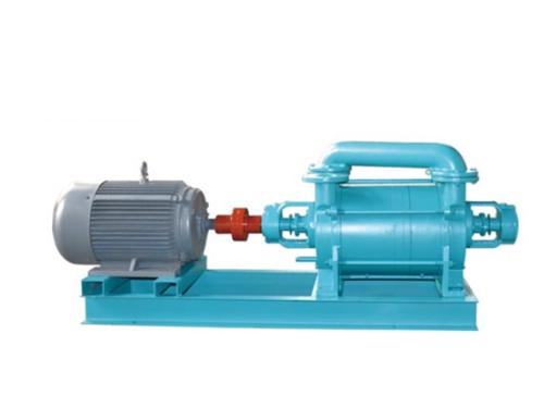 2SK 系列水环式真空泵